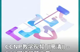 CCNP教学视频（高清）-365网络学院收集