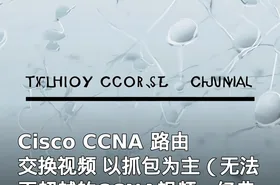 Cisco CCNA 路由交换视频 以抓包为主（无法再超越的CCNA视频，经典）泰克老王