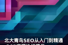 北大青鸟SEO从入门到精通-365资源论坛提供