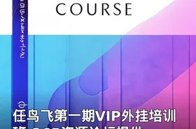 任鸟飞第一期VIP外挂培训班-365资源论坛提供