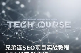 兄弟连SEO项目实战教程 SEO讲师 陈志红