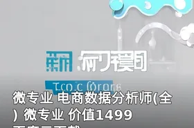 微专业 电商数据分析师(全) 微专业 价值1499 百度云下载
