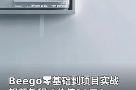 Beego零基础到项目实战视频教程（）