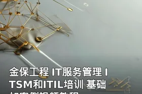 金保工程 IT服务管理 ITSM和ITIL培训 基础加案例视频教程