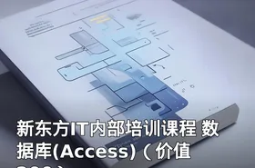 新东方IT内部培训课程 数据库(Access)（价值200）