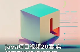 java项目视频20套 实战案例讲解 视频教程