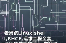 老男孩Linux,shell,RHCE,运维全程全套培训视频教程-365网络学院提供