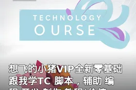 想飞的小猪VIP全新零基础跟我学TC 脚本，辅助 编程 开发 制作 教程(无KEY)