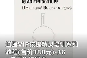 逍遥VIP按键精灵培训系列教程(售价388元)-365资源论坛提供