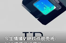今生情缘VIP软件脱壳班-365资源论坛提供