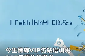 今生情缘VIP仿站培训班-365资源论坛提供