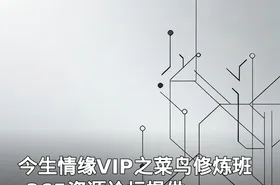 今生情缘VIP之菜鸟修炼班-365资源论坛提供