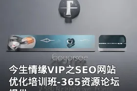 今生情缘VIP之SEO网站优化培训班-365资源论坛提供