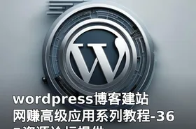 wordpress博客建站网赚高级应用系列教程-365资源论坛提供