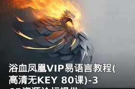 浴血凤凰VIP易语言教程(高清无KEY 80课)-365资源论坛提供