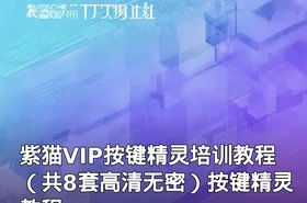 紫猫VIP按键精灵培训教程（共8套高清无密）按键精灵教程