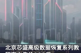 北京芯盛高级数据恢复系列教程官方售价900元