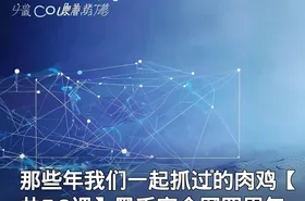 那些年我们一起抓过的肉鸡【共56课】黑手安全网四周年