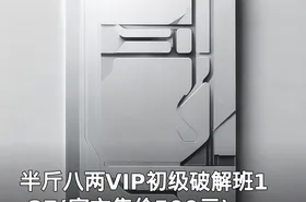 半斤八两VIP初级破解班1-27(官方售价500元)