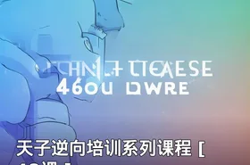天子逆向培训系列课程 [ 48课 ]