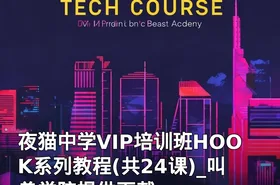 夜猫中学VIP培训班HOOK系列教程(共24课)_叫兽学院提供下载