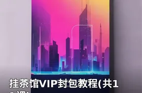 挂茶馆VIP封包教程(共11课)