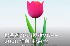 郁金香2013网授VC++ 2008 详解 主讲(含C++，类，MFC，API等)_