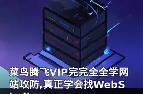 菜鸟腾飞VIP完完全全学网站攻防,真正学会找WebShell