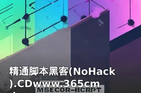 精通脚本黑客(NoHack).CDwww.365cmd.com