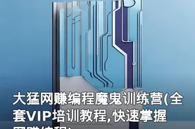 大猛网赚编程魔鬼训练营(全套VIP培训教程,快速掌握网赚编程)