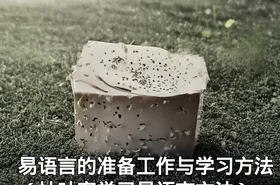 易语言的准备工作与学习方法（枯叶客学习易语言方法）