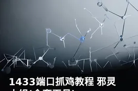 1433端口抓鸡教程 邪灵小组(全套工具)
