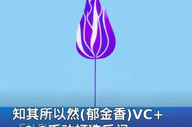 知其所以然(郁金香)VC++6.0手动打造后门