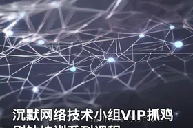 沉默网络技术小组VIP抓鸡刷钻培训系列课程