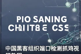 中国黑客组织端口检测抓鸡视频教程