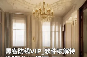 黑客防线VIP_软件破解特训班[共21课]