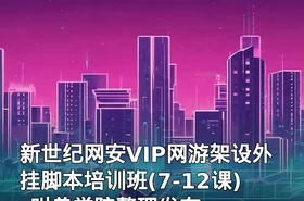 新世纪网安VIP网游架设外挂脚本培训班(7-12课)_叫兽学院整理发布