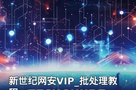 新世纪网安VIP_批处理教程