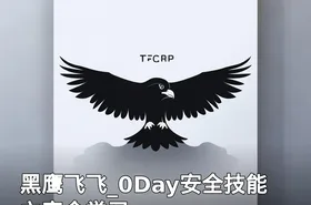 黑鹰飞飞_0Day安全技能之完全学习