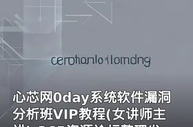 心芯网0day系统软件漏洞分析班VIP教程(女讲师主讲)-365资源论坛整理发布
