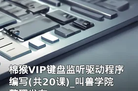 棉猴VIP键盘监听驱动程序编写(共20课)_叫兽学院整理发布