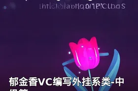 郁金香VC编写外挂系类-中级篇