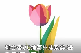 郁金香VC编写外挂系类-进阶篇(第一部分)