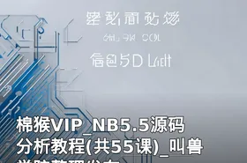 棉猴VIP_NB5.5源码分析教程(共55课)_叫兽学院整理发布