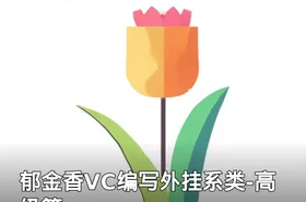 郁金香VC编写外挂系类-高级篇
