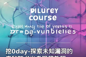 挖0day-探索未知漏洞的奥秘随书光盘视频教程
