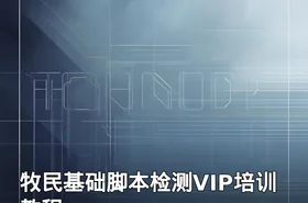 牧民基础脚本检测VIP培训教程