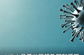 VB木马开发视频教程和源码