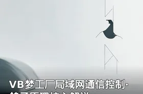VB梦工厂局域网通信控制·鸽子原理核心解说