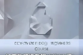 加密狗初级教程（共12课）